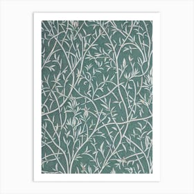 White Willow 2 tree Vintage Botanical Art Print