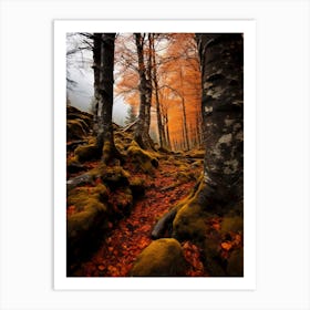 Autumn Forest in Sweden Art Print