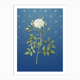 Vintage White Rose of Rosenberg Botanical on Bahama Blue Pattern n.0983 Art Print