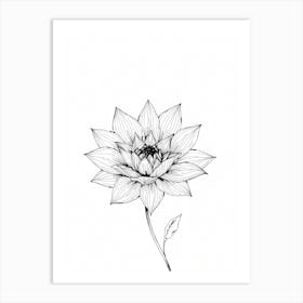 Lotus Flower 3 Art Print