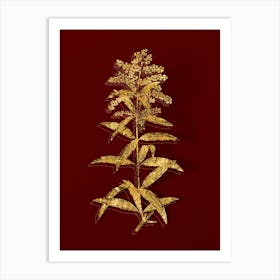 Vintage Lemon Verbena Branch Botanical in Gold on Red n.0057 Art Print