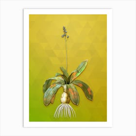 Vintage Scilla Lilio Hyacinthus Botanical Art on Empire Yellow n.0921 Art Print