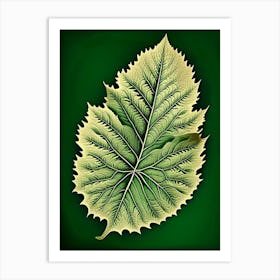 Elm Leaf Vintage Botanical 2 Art Print