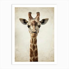 Giraffe 64 Art Print