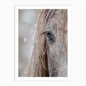 Snowy Horse Art Print