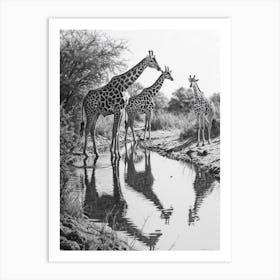 Giraffes Inspecting Their Reflection Pencil Drawing 3 Art Print