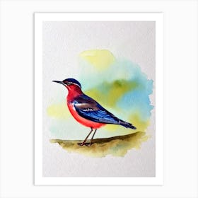 Dipper Watercolour Bird Art Print