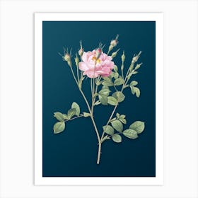 Vintage Anemone Flowered Sweetbriar Rose Botanical Art on Teal Blue Art Print