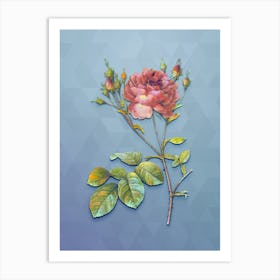Vintage Pink Cumberland Rose Botanical Art on Summer Song Blue n.1390 Art Print