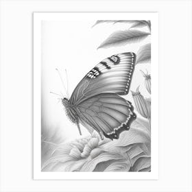 Butterfly In Garden Greyscale Sketch 1 Art Print