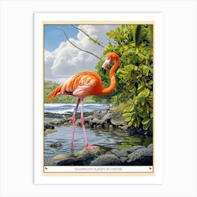 Greater Flamingo Galapagos Islands Ecuador Tropical Illustration 7 Poster Art Print