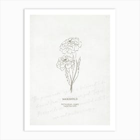 Marigold Birth Flower | Antique Art Print