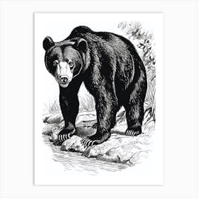 Malayan Sun Bear Standing On A Riverbank Ink Illustration 3 Art Print