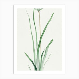 Wild Onion Leaf Minimalist Watercolour 1 Art Print