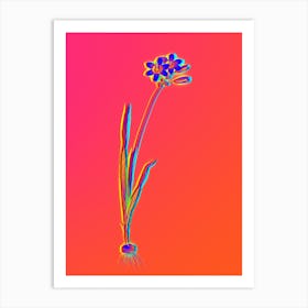Neon Galaxia Ixiaeflora Botanical in Hot Pink and Electric Blue n.0284 Art Print