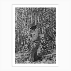 Sugarcane Cutter Rolling A Cigarette In Field Near New Iberia, Louisiana By Russell Lee Art Print