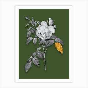 Vintage Fragrant Rosebush Black and White Gold Leaf Floral Art on Olive Green Art Print