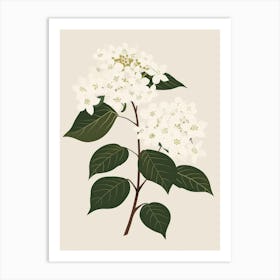 Hydrangea 10 Art Print