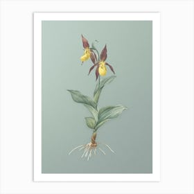 Vintage Lady's Slipper Orchid Botanical Art on Mint Green n.0572 Art Print