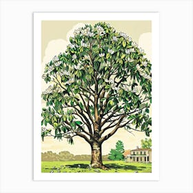 Magnolia Tree Storybook Illustration 4 Art Print