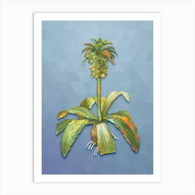 Vintage Eucomis Regia Botanical Art on Summer Song Blue n.2008 Art Print