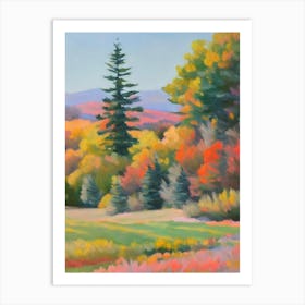 Conifers Tree Watercolour 2 Art Print