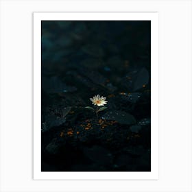 Water Lily 2 Art Print