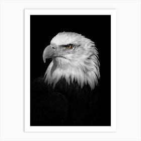 Eagle Art Print