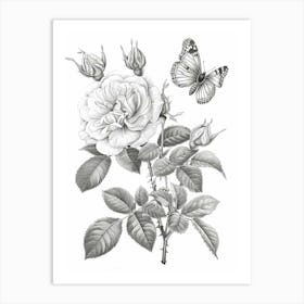 Rose With Butterfly Line Drawing 4 Art Print