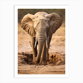 African Elephant Muddy Foot Prints Realism 1 Art Print
