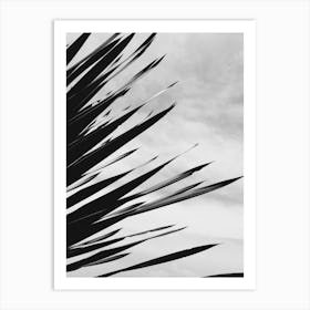 Palm Leaf 1 Art Print