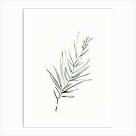 Rosemary Leaf Minimalist Watercolour 2 Art Print