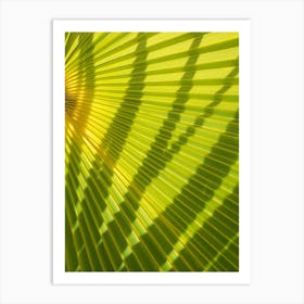 Green palm leaf and shadows Art Print
