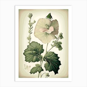 Marsh Mallow Wildflower Vintage Botanical 1 Art Print