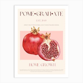 Pomegranate Fruit Mid Century Art Print