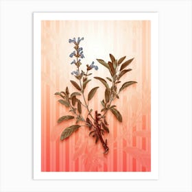 Garden Sage Vintage Botanical in Peach Fuzz Awning Stripes Pattern n.0317 Art Print