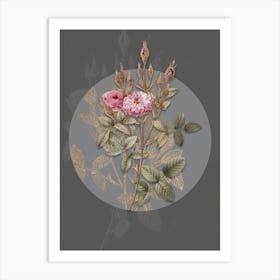 Vintage Botanical Mossy Pompon Rose on Circle Gray on Gray n.0285 Art Print