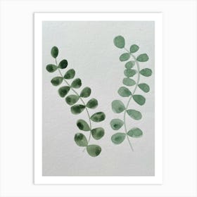 Eucalyptus Leaves Art Print