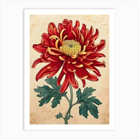 Chrysanthemum 22 Art Print