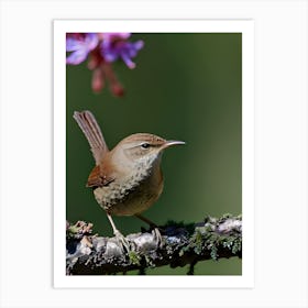 House Wren -Reimagined 10 Art Print