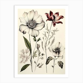 Flowers In Black And White 1 Art Print