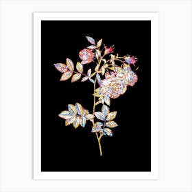 Stained Glass Turnip Roses Mosaic Botanical Illustration on Black Art Print