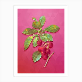 Vintage Cherry Botanical Art on Beetroot Purple n.0930 Art Print