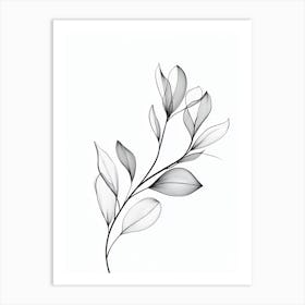 Black And White Drawing Of Leaves 1 Art Print