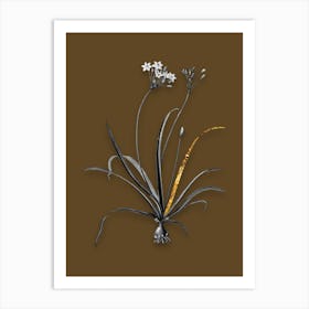 Vintage Allium Fragrans Black and White Gold Leaf Floral Art on Coffee Brown Art Print