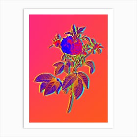 Neon Pink Agatha Rose Botanical in Hot Pink and Electric Blue n.0408 Art Print