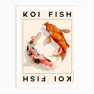 Koi Fish Illustration Art Print