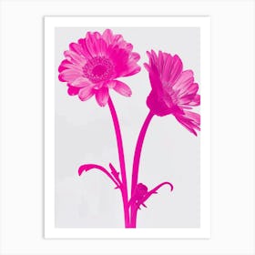 Hot Pink Gerbera Daisy 2 Art Print