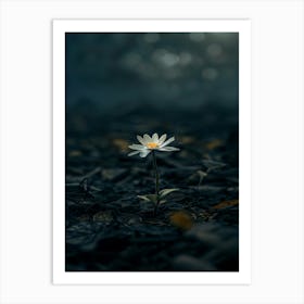 Daisy 30 Art Print