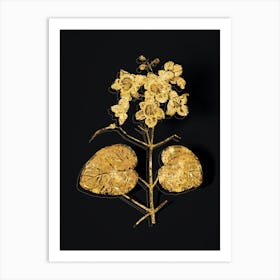 Vintage Catalpa Cordifolia Flower Botanical in Gold on Black n.0401 Art Print